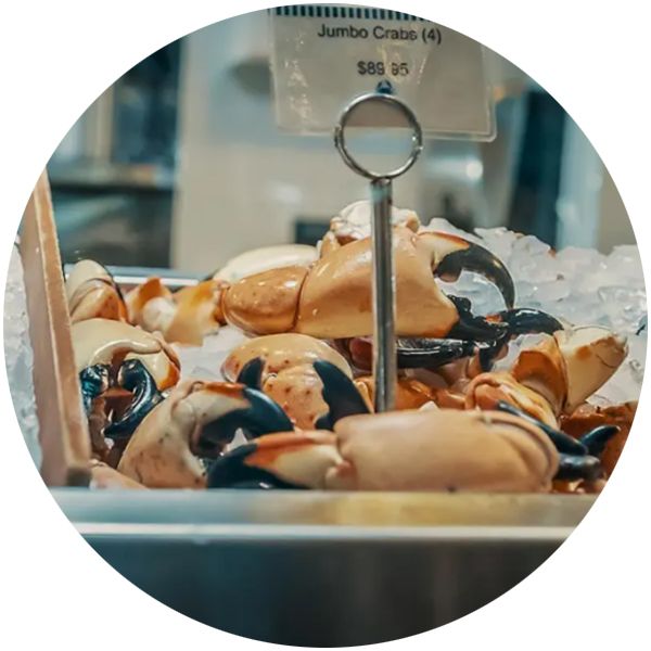 South Beach Seafood Festival